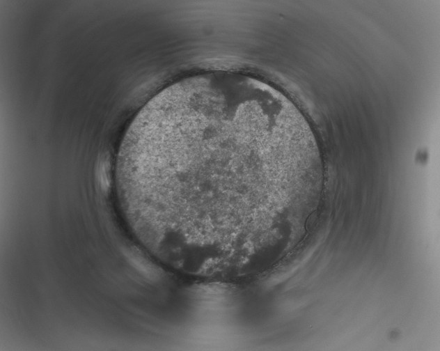 X0000116790069201001081322