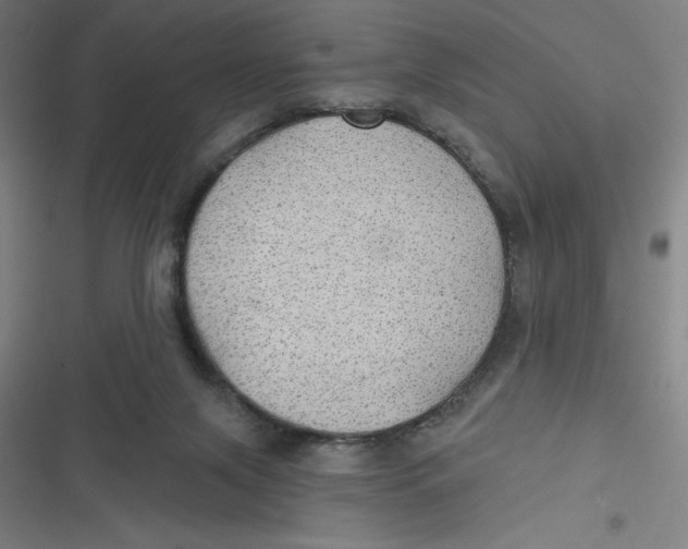 X0000116790071201001081322