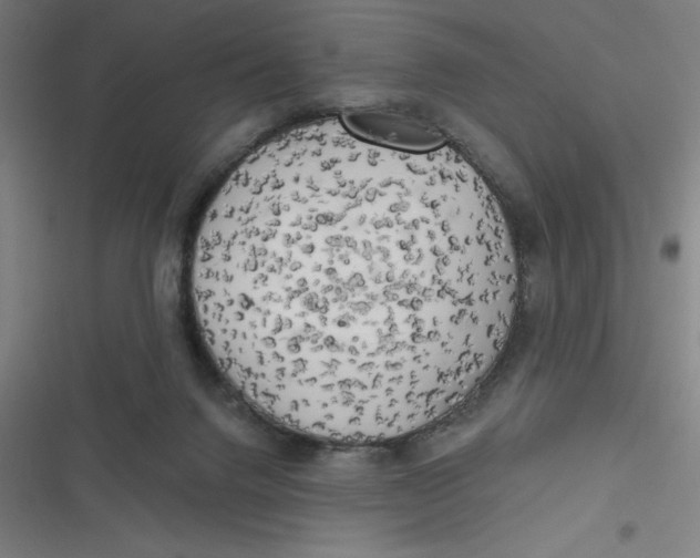 X0000116790072201001081322