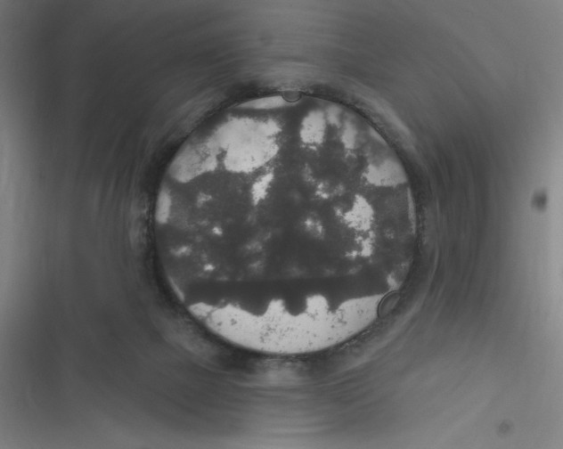 X0000116790073201001081322