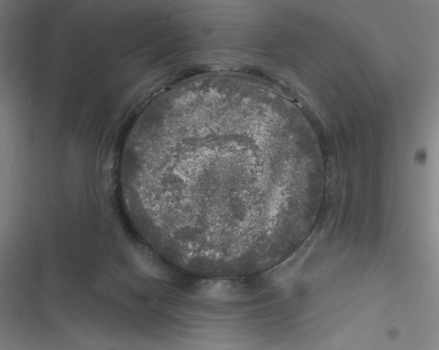 X0000116790074201001081322