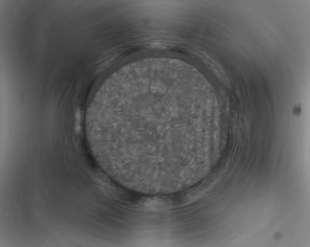 X0000116790075201001081322