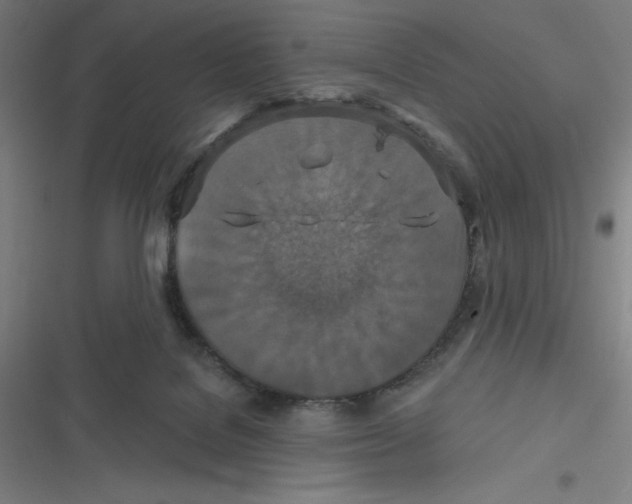 X0000116790076201001081322