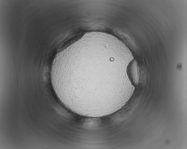 X0000116790077201001081322