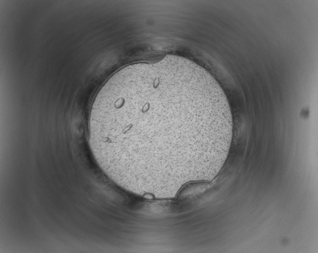 X0000116790078201001081322