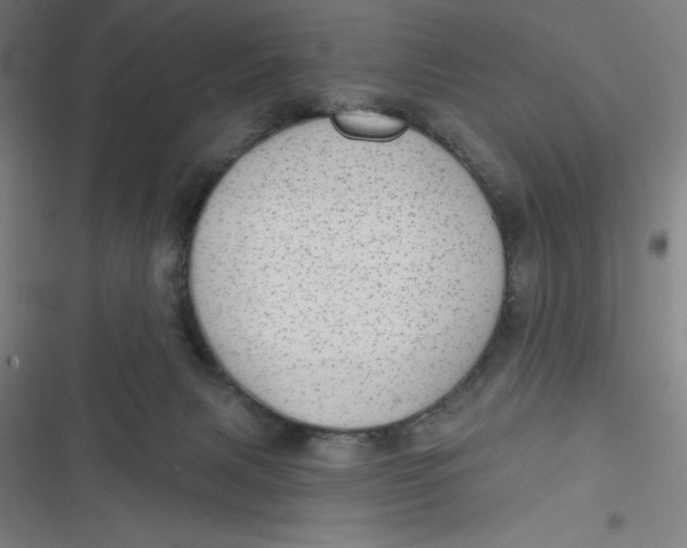 X0000116790079201001081322