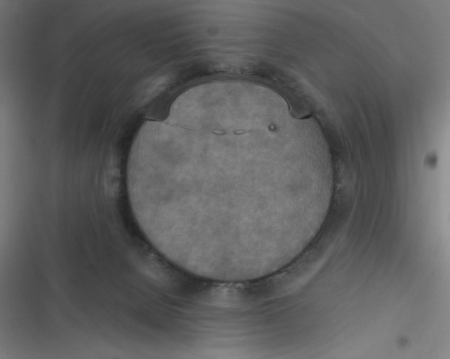 X0000116790080201001081322