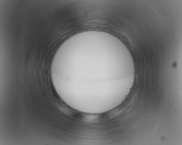 X0000116790081201001081322