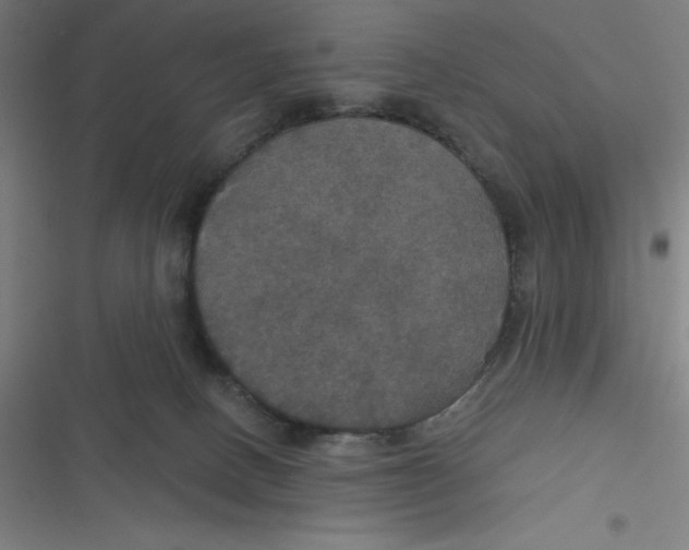 X0000116790082201001081322