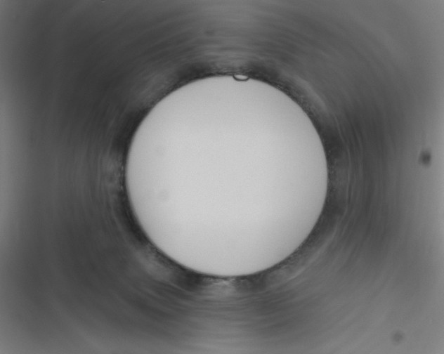 X0000116790083201001081322