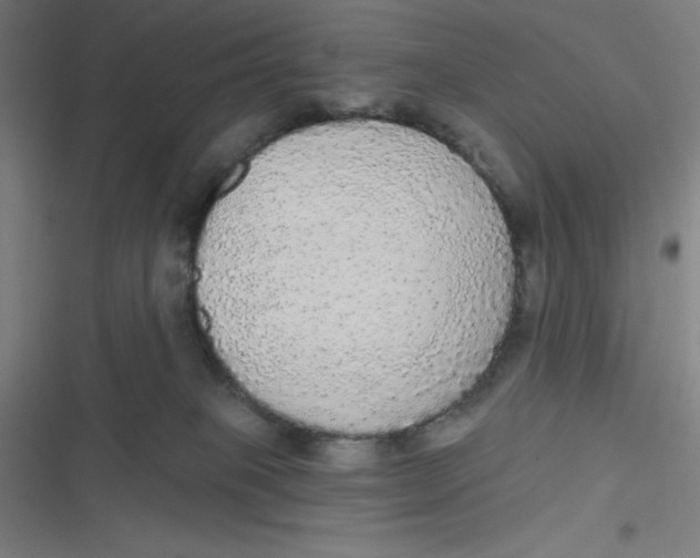 X0000116790085201001081322