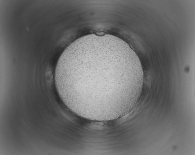 X0000116790086201001081322