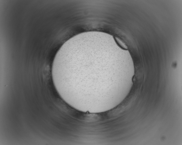 X0000116790087201001081322
