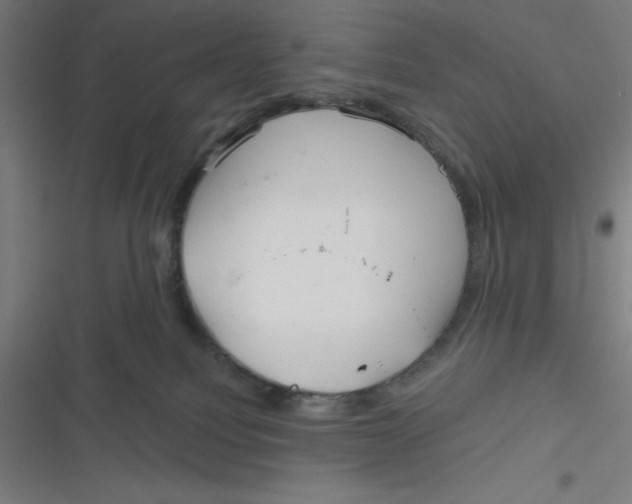 X0000116790088201001081322