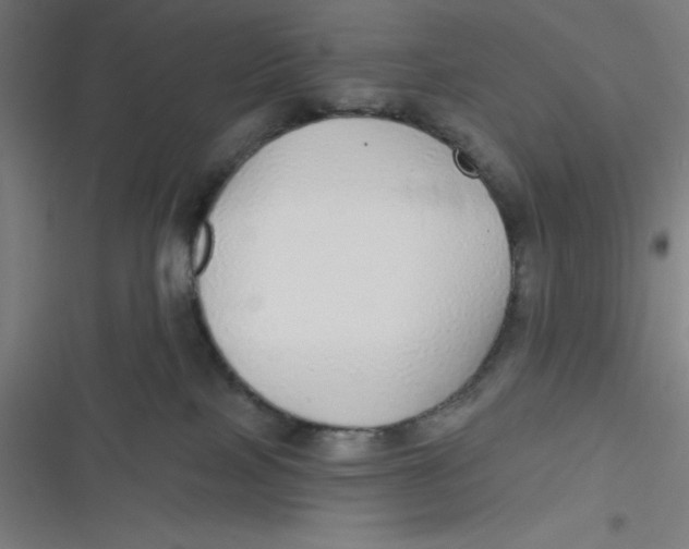 X0000116790089201001081322