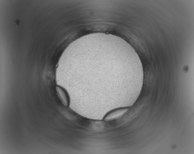 X0000116790091201001081322