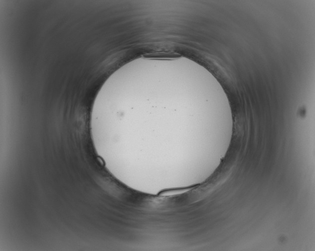 X0000116790092201001081322