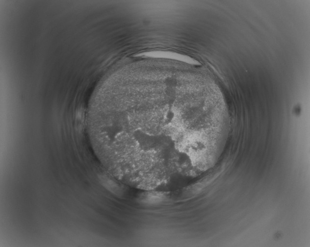 X0000116790093201001081322