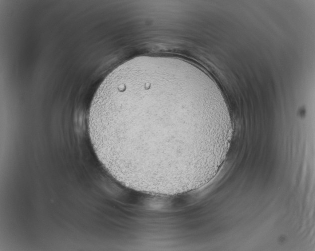 X0000116790094201001081322