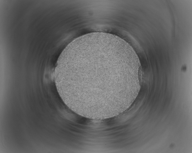 X0000116790095201001081322