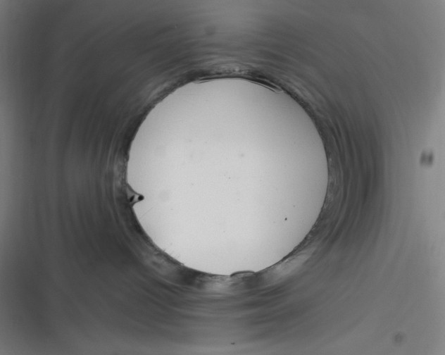 X0000116790096201001081322