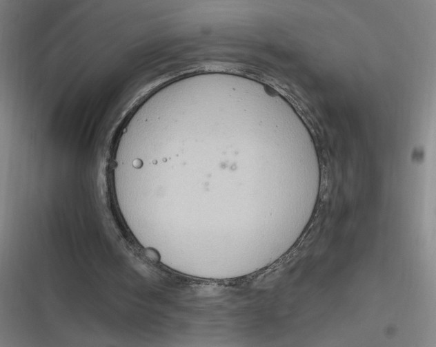 X0000116790098201001081322