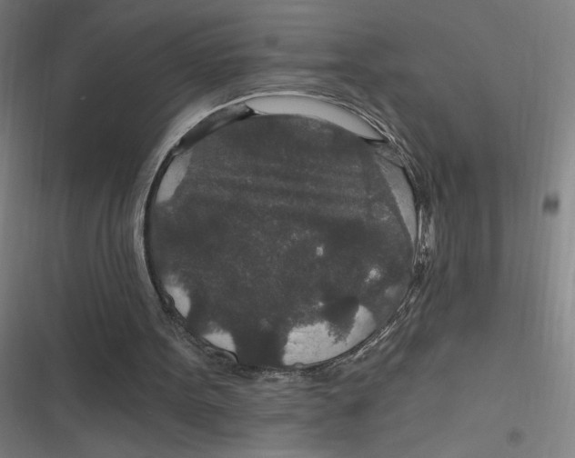 X0000116790099201001081322