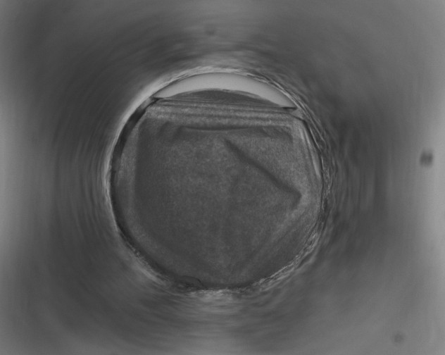 X0000116790100201001081322