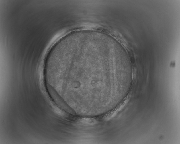 X0000116790101201001081322