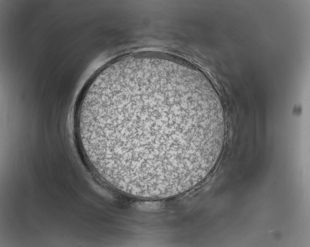 X0000116790102201001081322