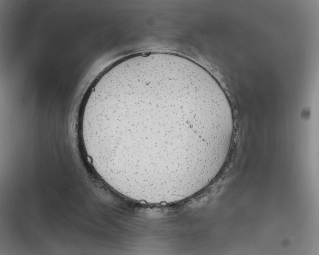 X0000116790103201001081322