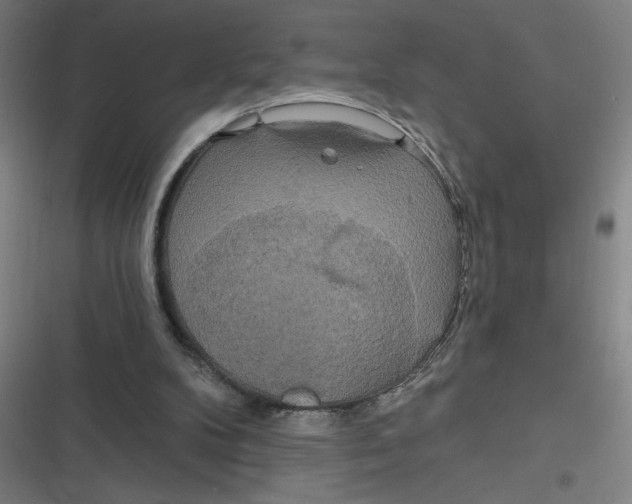 X0000116790104201001081322