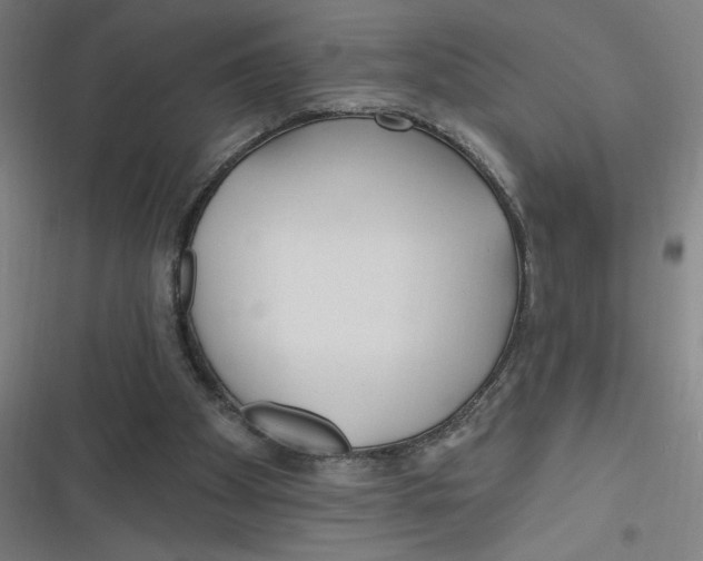 X0000116790105201001081322