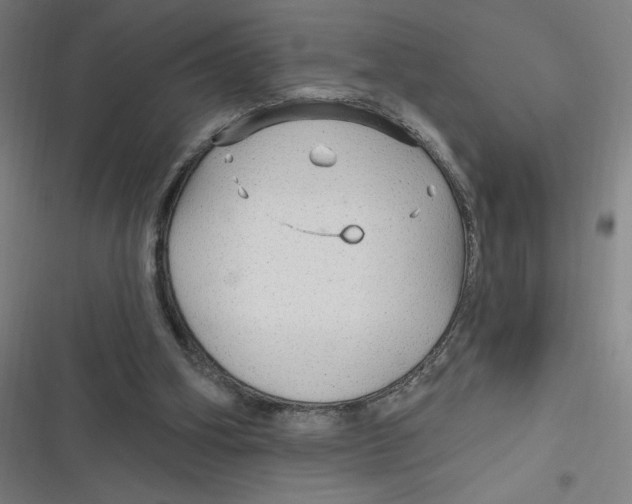 X0000116790106201001081322