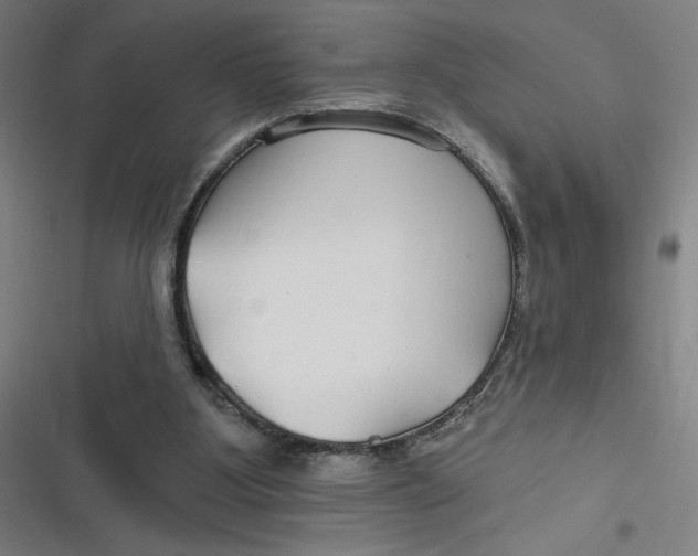 X0000116790107201001081322