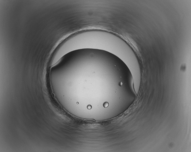 X0000116790108201001081322