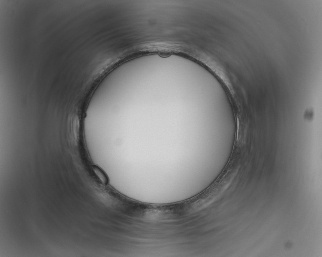 X0000116790109201001081322