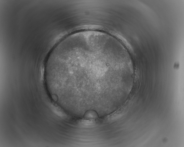 X0000116790110201001081322