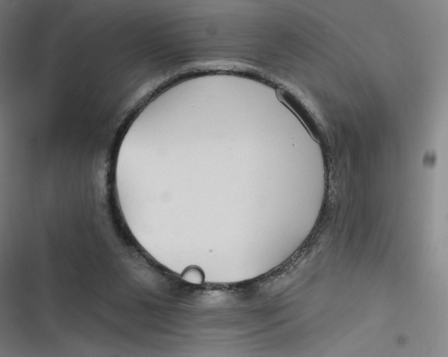 X0000116790111201001081322