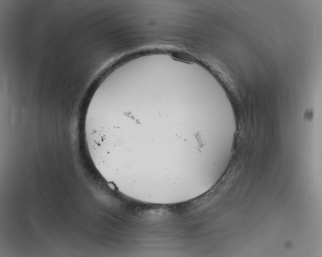 X0000116790112201001081322