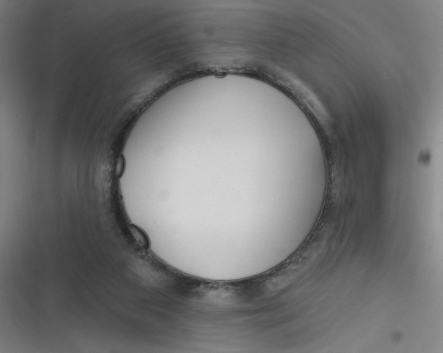 X0000116790113201001081322