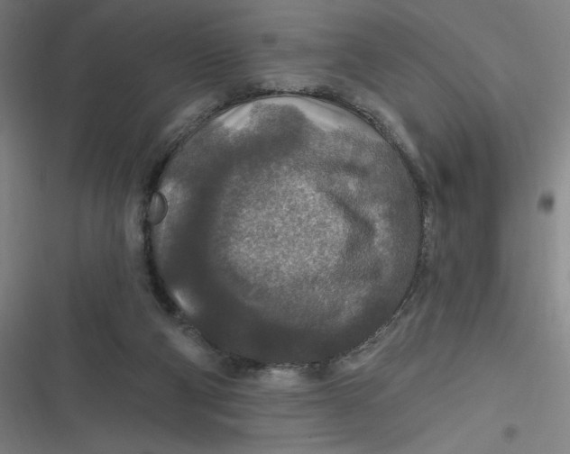 X0000116790114201001081322