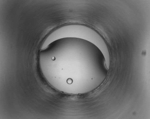 X0000116790116201001081322