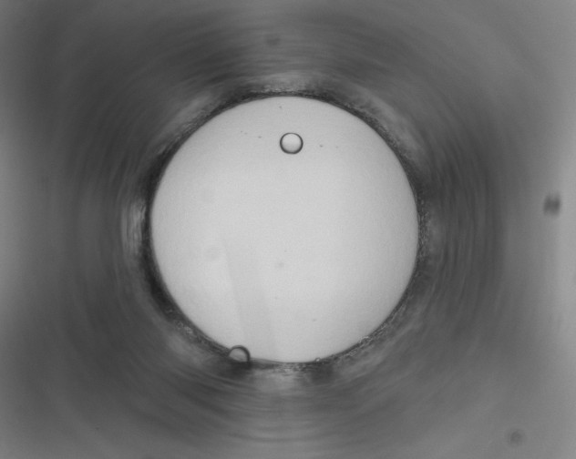 X0000116790118201001081321