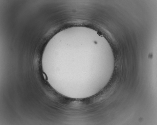 X0000116790119201001081321