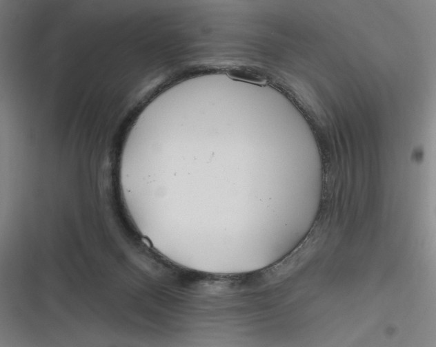 X0000116790120201001081321