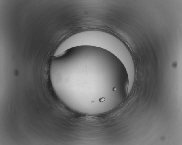 X0000116790121201001081321