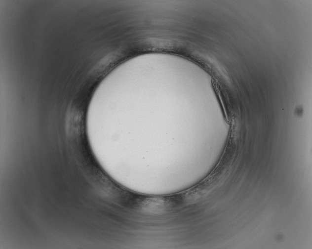 X0000116790123201001081321