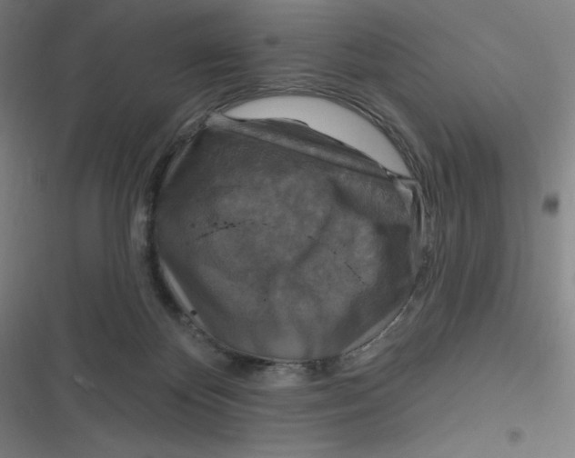 X0000116790124201001081321