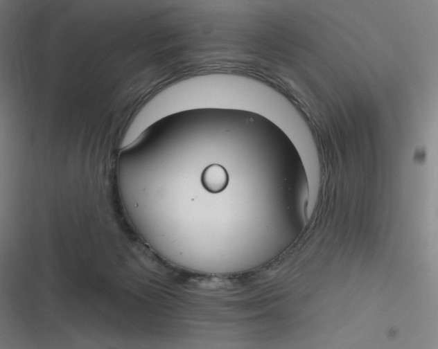 X0000116790125201001081321